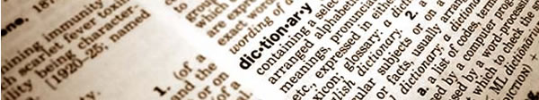 Larceny theft and webster dictionary